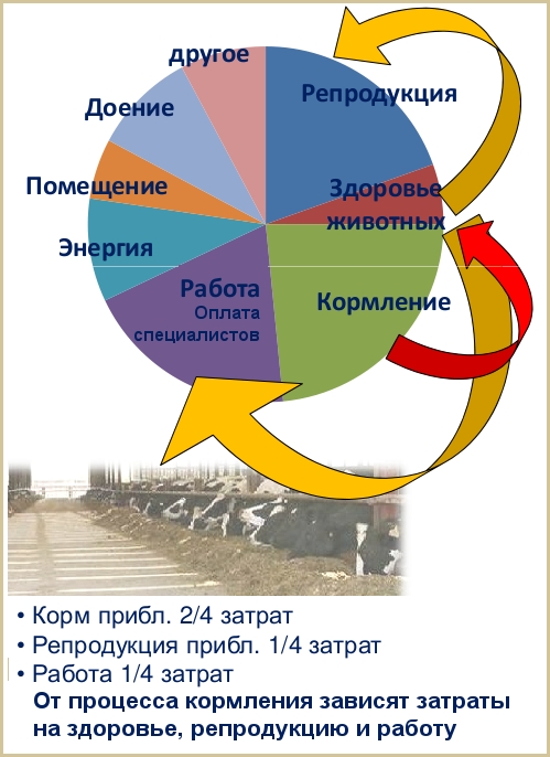 структура затрат молочной фермы